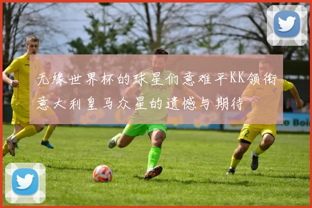 无缘世界杯的球星们意难平KK领衔意大利皇马众星的遗憾与期待